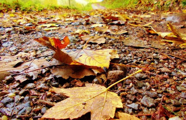 Pleasant Holiday Home With Balcony - Foto 11