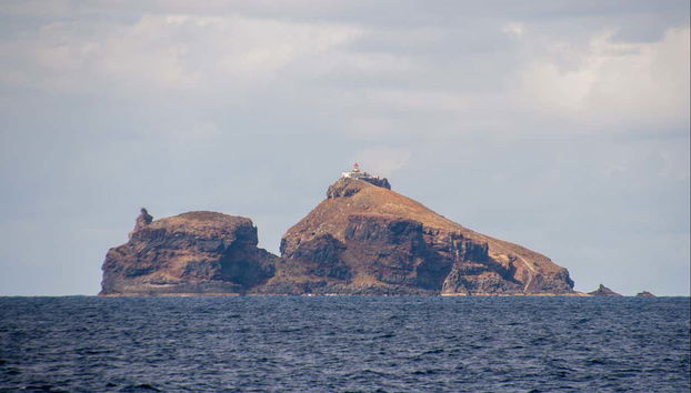 Ponta de Sao Lourenço Cruise - Photo 2