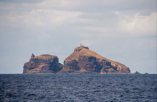 Paseo en barco por Punta de San Lorenzo - Foto 2