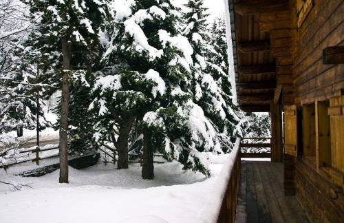 Chalet Tradizionale con bel giardino - Foto 11