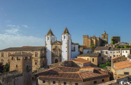 Private Room & Bath near Old Town - Foto 11