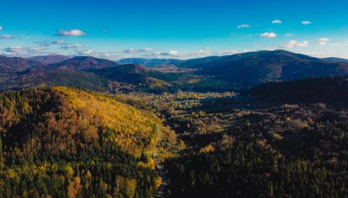 Apartament Zielony Ruczaj w Cisnej - Foto 5