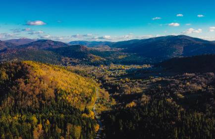 Apartament Zielony Ruczaj w Cisnej - Photo 5