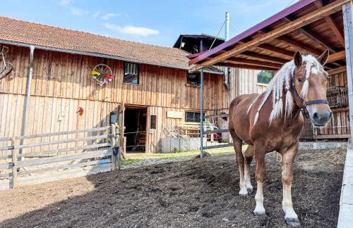 Apartment Drexler by Interhome - Foto 46