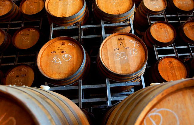 An Ideal Wine Country Getaway Villa - Photo 9