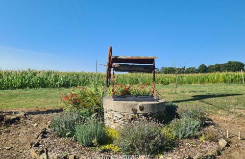 La Dorgisière - Ferme du XVIIe rénovée, grand jardin arboré à 15 min du Puy duFou - Foto 31