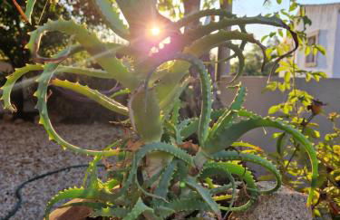 Casa Aresula - Foto 33