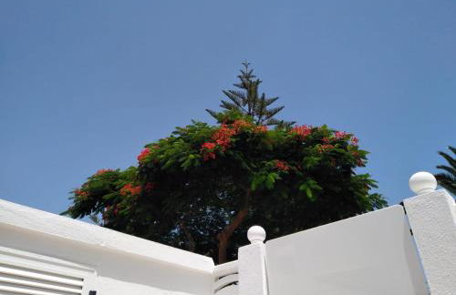 House Lilu - luminoso monolocale - Foto 11