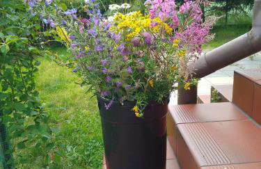 Gospodarstwo Agroturystyczne Wólka 34 - Foto 4