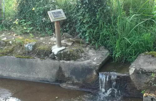 Les Volets Verts, ROUSSINES, CHARENTE, 16310 FRANCE - Foto 62