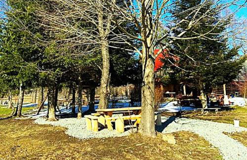 Chyża Chata na Krańcu Świata - Foto 3