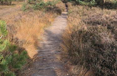 City-Apparte Exklusiv - direkt am Antonius-Hospital - Stilvoll wohnen im Herzen von Gronau - Foto 67
