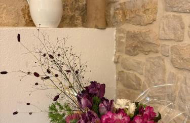 TerraCielo - Foto 11