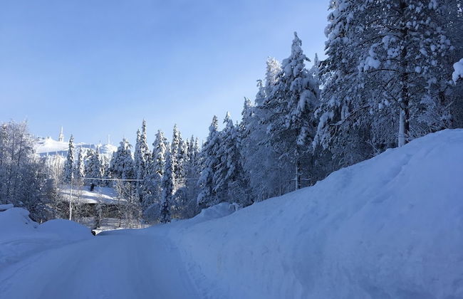 Rukariutta Apartments - Photo 36