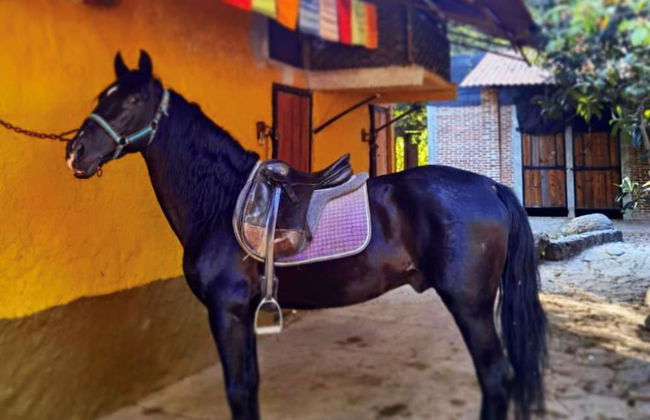 Rancho con Caballos El Reencuentro - Foto 42