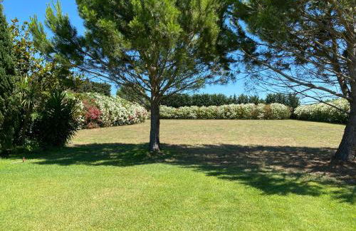 MAS DES PAZ - Foto 32