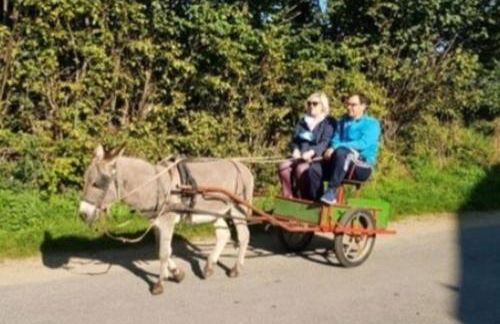 FeWo Lena - Photo 19