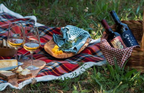 La Cerreta - Terme di Sassetta - Foto 105