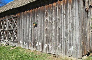 The Nest Koryciski Agroturystyka - Foto 16