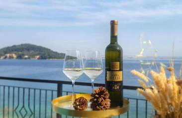 Villa Pearl of Kali, island Ugljan - first row to the sea - Foto 11