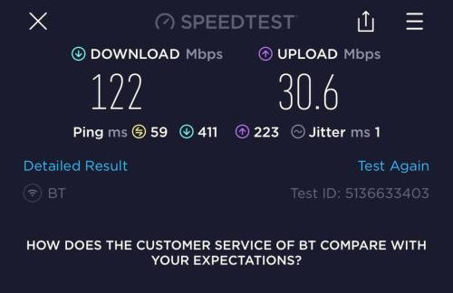 New build eco house in walled garden, Rostrevor - Photo 28