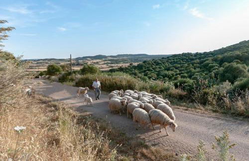 Lo Stazzo Multa Bianca Relax Assoluto nella Natura - Foto 27