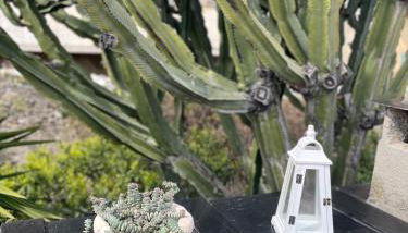 Casa Maria Terrazza sul mare con vista panoramica a Cervo - Foto 4