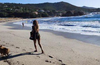 Maison typique Corse écologique - Photo 41