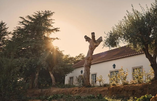 Quinta dos Anjos - Foto 43