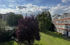 Leafy sanctuary in Putney - Foto 1