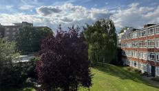 Leafy sanctuary in Putney - Foto 1