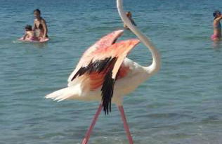 Agriturismo Le Mimose - Foto 7