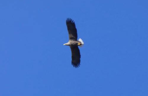 Stoer Pods - Quinag Pod - Foto 30