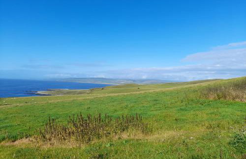 Ballygroggan Farmhouse - Uk35208 - Foto 16