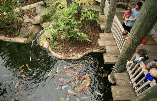 B209 - Beachside Getaway - Foto 11