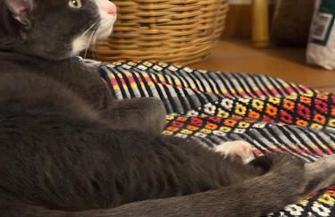 Casa d’ avó Lita - Foto 17