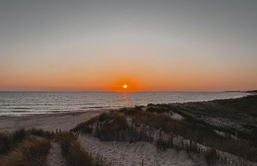 L'Olivier de Milou - Foto 64