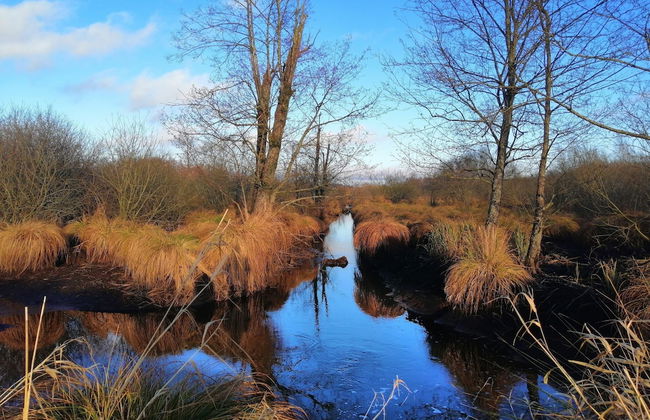 Nice Chalet by the Woods in Saint-leger - Foto 32