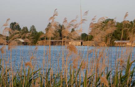 Müritzbrise 1 - Foto 11