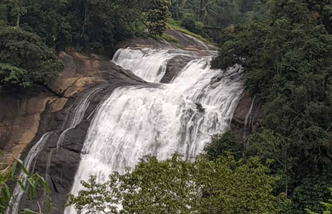 Tour privado en 4x4 por las cascadas de Munnar - Foto 16