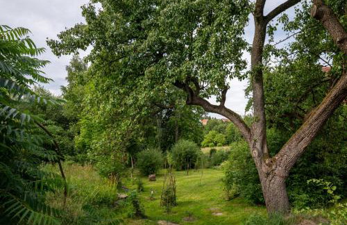 Róże i Jabłonie Agroturystyka - Foto 65