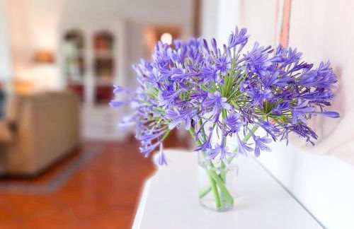 Casa Jazmín - Foto 19