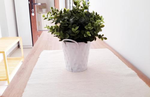 Albert Home - Foto 10