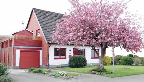 Ferienwohnung Mohr - Unterkunft mit Dachterrasse - Foto 4