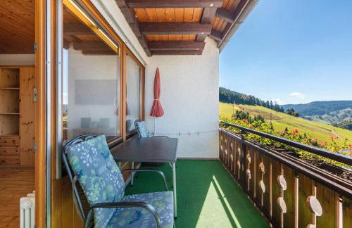 Ferienwohnungen Kehrwieder - Foto 43