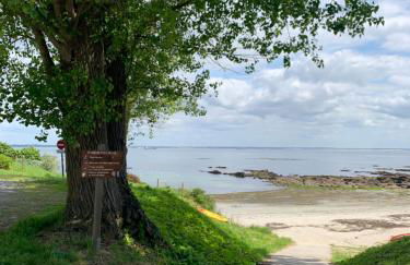 Côté plage - Photo 34