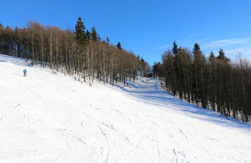 Mezonet Almberg Apartmany JaJ - Foto 27