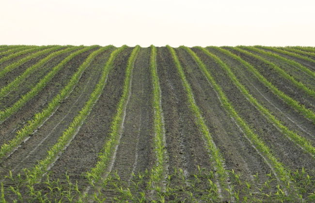Cosy Chalet With gas Fireplace in Twente - Foto 16