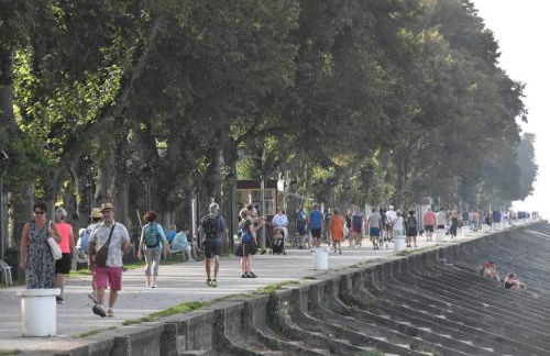 L'Olivier en Baie, T3 de standing avec jardin, vue baie, parking privé - Foto 33