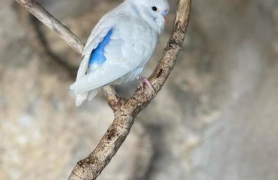 House of Sunset - Tranquility - View - Relaxation - Photo 74